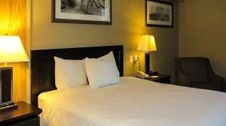 Stonebridge Hotel Other