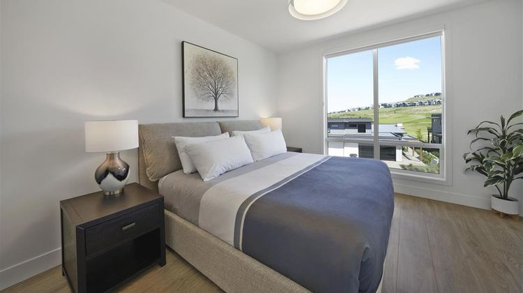Predator Ridge Resort Room