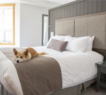 Predator Ridge Resort Room