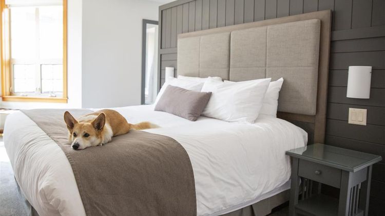 Predator Ridge Resort Room