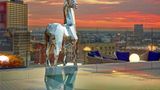 <b>The Statler Dallas, Curio Collection Other</b>. Images powered by <a href="https://iceportal.shijigroup.com/" title="IcePortal" target="_blank">IcePortal</a>.