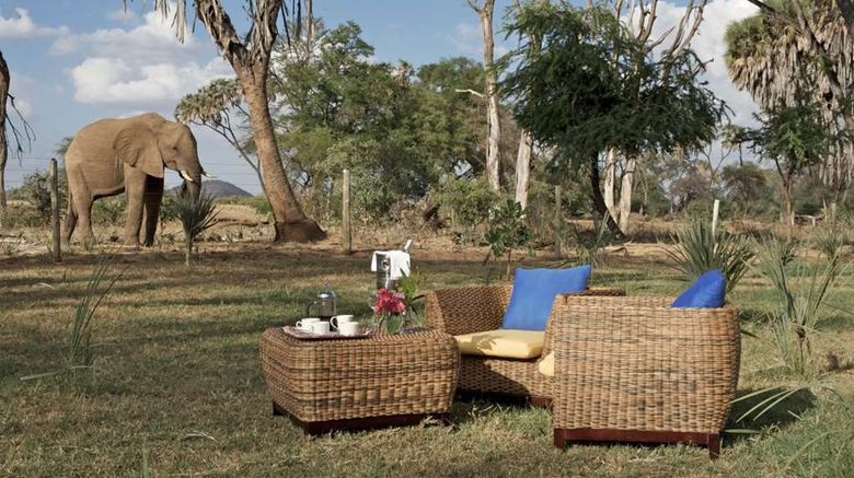 <b>Ashnil Samburu Camp Exterior</b>. Images powered by <a href="https://iceportal.shijigroup.com/" title="IcePortal" target="_blank">IcePortal</a>.