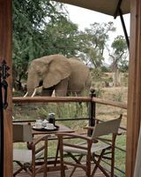 Ashnil Samburu Camp