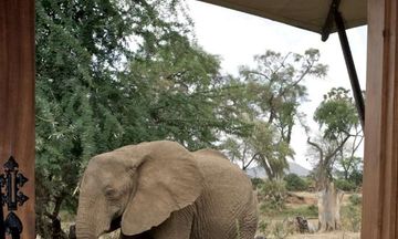 Ashnil Samburu Camp