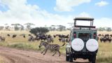Melia Serengeti lodge Room