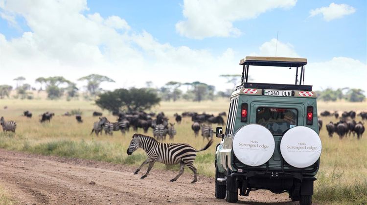 Melia Serengeti lodge Room