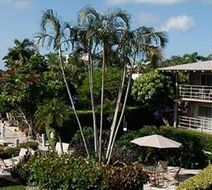 Cove Inn on Naples Bay Exterior