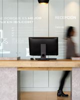 Ibis Irapuato