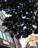 Basic Hotel Ostseehalle