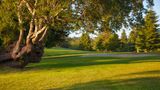 Chinook Winds Casino Resort Golf