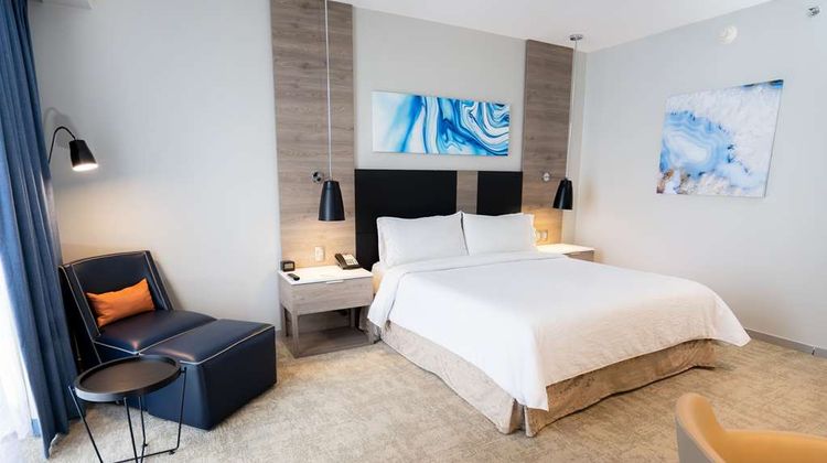 Hilton Garden Inn Mexico City Santa Fe Other