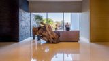 <b>Hyatt Regency Andares Guadalajara Lobby</b>. Images powered by <a href="https://iceportal.shijigroup.com/" title="IcePortal" target="_blank">IcePortal</a>.