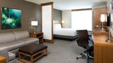 Hyatt Place Kansas City/Lenexa City Cntr Room