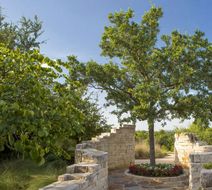 Hyatt Wild Oak Ranch Exterior