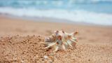 <b>Grand Hyatt Sanya Haitang Bay Resort and Spa Beach</b>. Images powered by <a href=https://www.travelagewest.com/Hotels/Sanya-China/