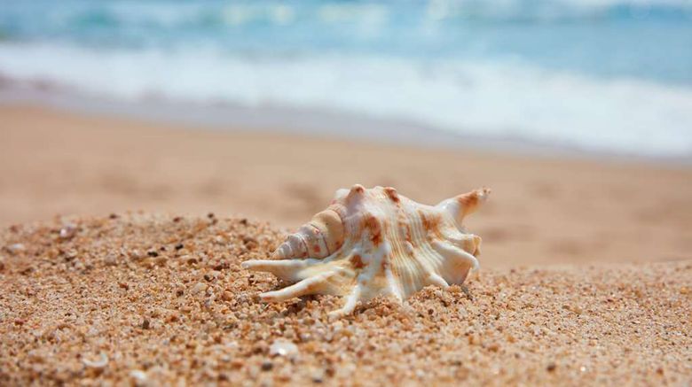 <b>Grand Hyatt Sanya Haitang Bay Resort and Spa Beach</b>. Images powered by <a href=https://www.travelagewest.com/Hotels/Sanya-China/