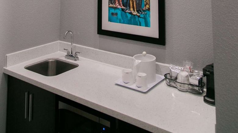 <b>Hampton Inn & Suites Amarillo East Other</b>. Images powered by <a href="https://iceportal.shijigroup.com/" title="IcePortal" target="_blank">IcePortal</a>.