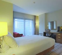 Hilton Garden Inn Eskisehir Room
