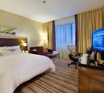 Hilton Garden Inn Kutahya Room