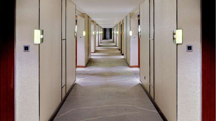 Hilton Garden Inn Foshan Other