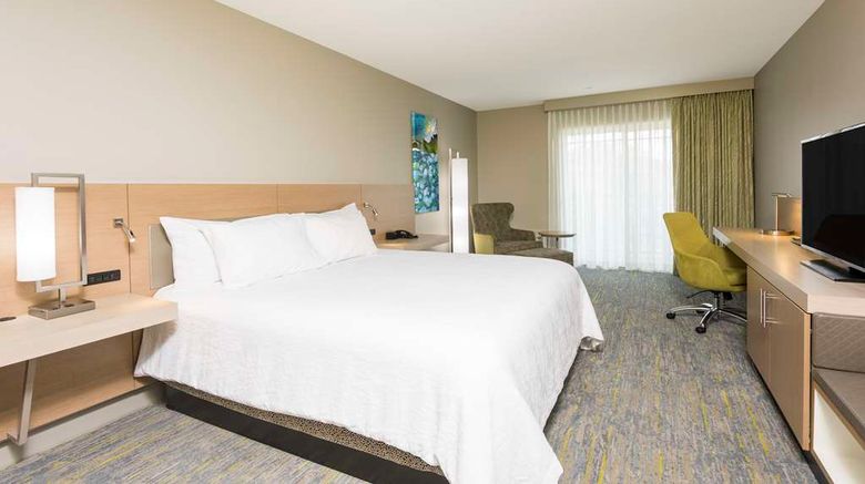 <b>Hilton Garden Inn Grand Rapids Airport Room</b>. Images powered by <a href="https://iceportal.shijigroup.com/" title="IcePortal" target="_blank">IcePortal</a>.