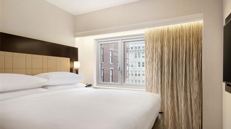 <b>Embassy Suites Manhattan Times Square Other</b>. Images powered by <a href="https://iceportal.shijigroup.com/" title="IcePortal" target="_blank">IcePortal</a>.