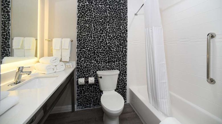 <b>Hilton Garden Inn Jacksonville Room</b>. Images powered by <a href="https://iceportal.shijigroup.com/" title="IcePortal" target="_blank">IcePortal</a>.