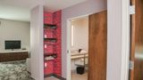 Hilton Garden Inn Tampa Suncoast Parkway Other