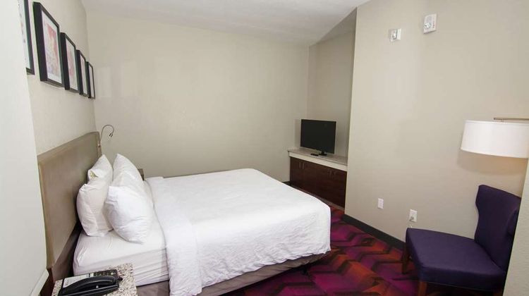 Hilton Garden Inn Tampa Suncoast Parkway Other