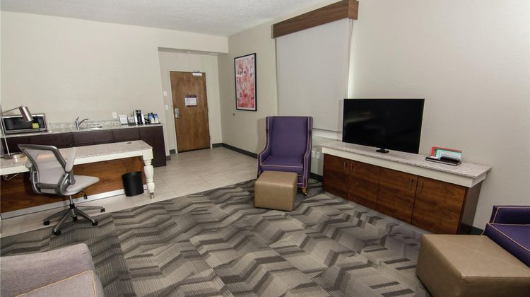 Hilton Garden Inn Tampa Suncoast Parkway Room
