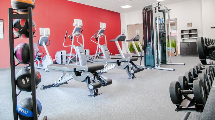 Hilton Garden Inn Tampa Suncoast Parkway Health