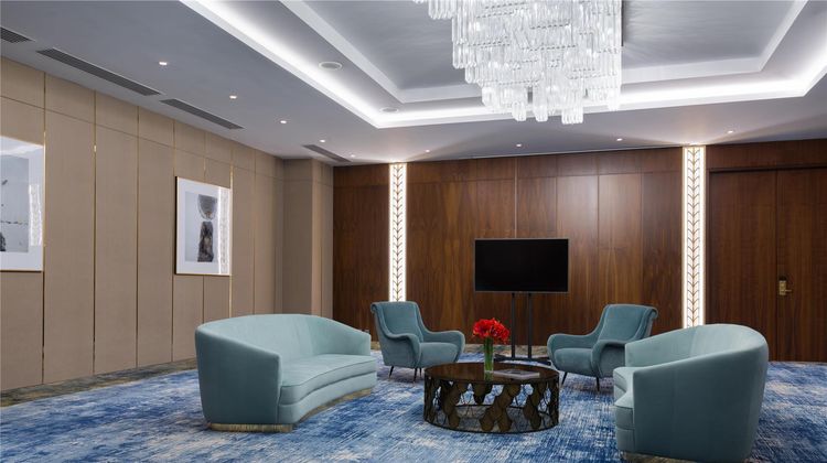 Hilton Astana Meeting
