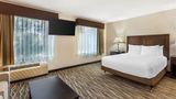 Best Western Plus Valdosta Hotel Room