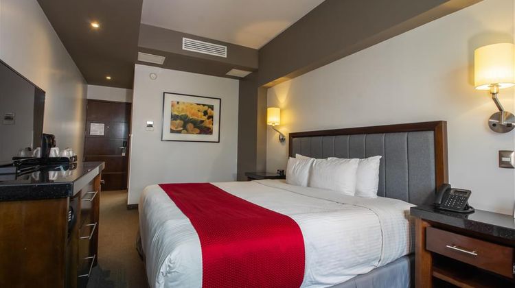 Best Western Plus Santa Cecilia Pachuca Room