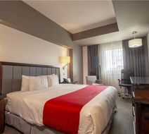 Best Western Plus Santa Cecilia Pachuca Room