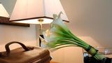 Goldstar Resort & Suites Room