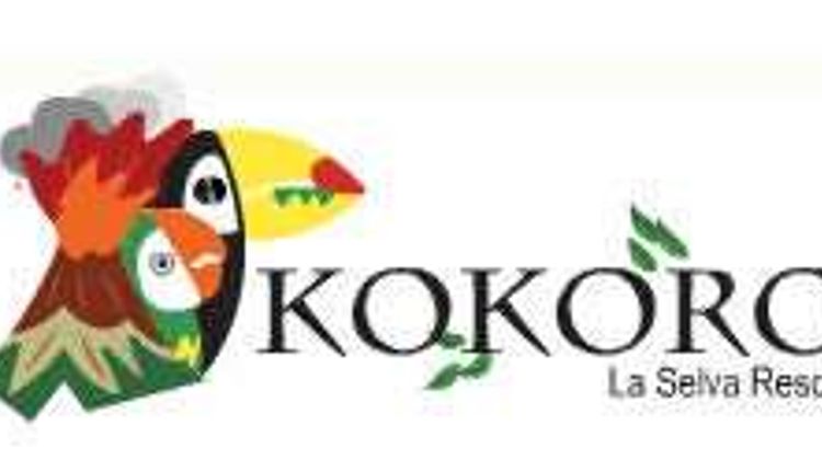 Kokoro Arenal Volcano Hotel Other