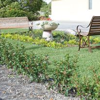 SureStay by BW The Clarence on Melville