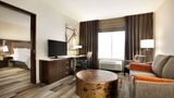 Hilton Garden Inn Downtown Birmingham Room