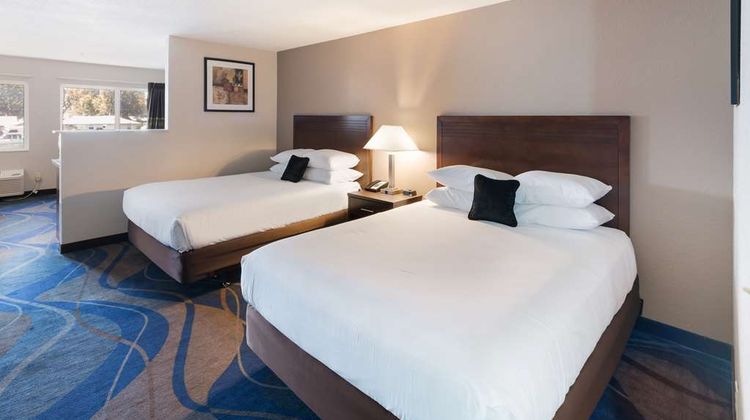 Quality Inn & Suites Tri-Cities Room