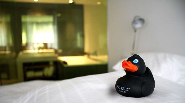 Derlon Hotel Maastricht Room