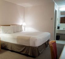 Motel 8 Room