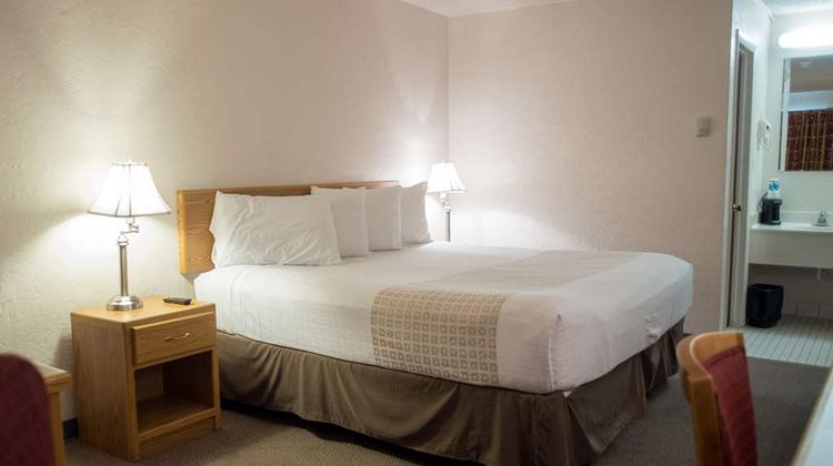 Motel 8 Room