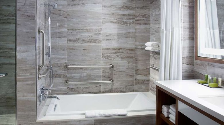 <b>Hilton Club The Residences New York Room</b>. Images powered by <a href="https://iceportal.shijigroup.com/" title="IcePortal" target="_blank">IcePortal</a>.