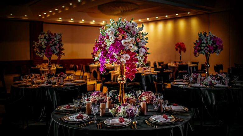 <b>Barcelo Mexico Reforma Ballroom</b>. Images powered by <a href="https://iceportal.shijigroup.com/" title="IcePortal" target="_blank">IcePortal</a>.
