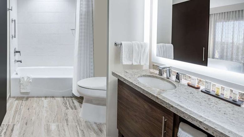 <b>Embassy Suites by Hilton College Station Room</b>. Images powered by <a href="https://iceportal.shijigroup.com/" title="IcePortal" target="_blank">IcePortal</a>.