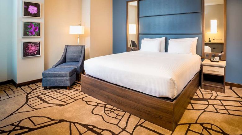 <b>Hilton Garden Inn Bogota Airport Room</b>. Images powered by <a href="https://iceportal.shijigroup.com/" title="IcePortal" target="_blank">IcePortal</a>.