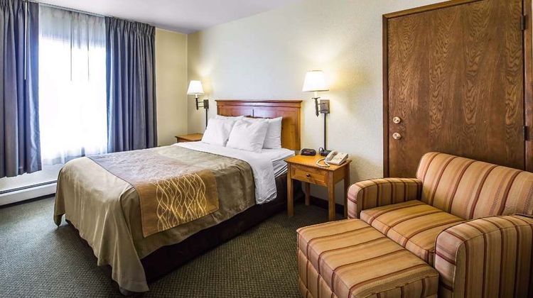 Quality Inn Room