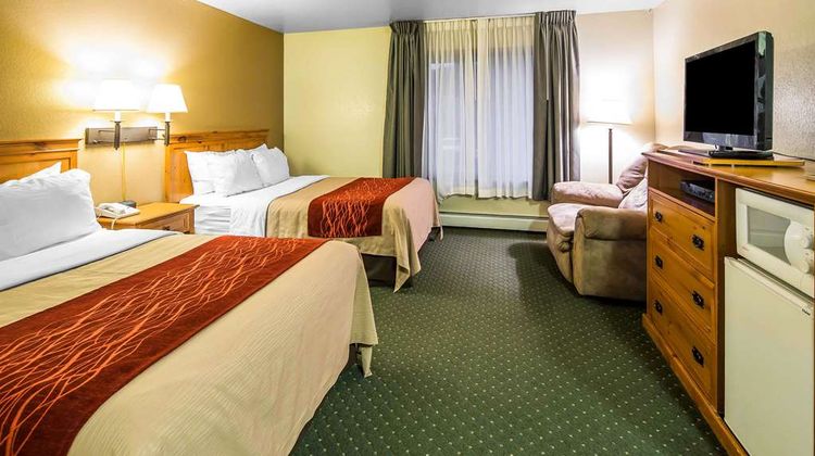 Quality Inn Room