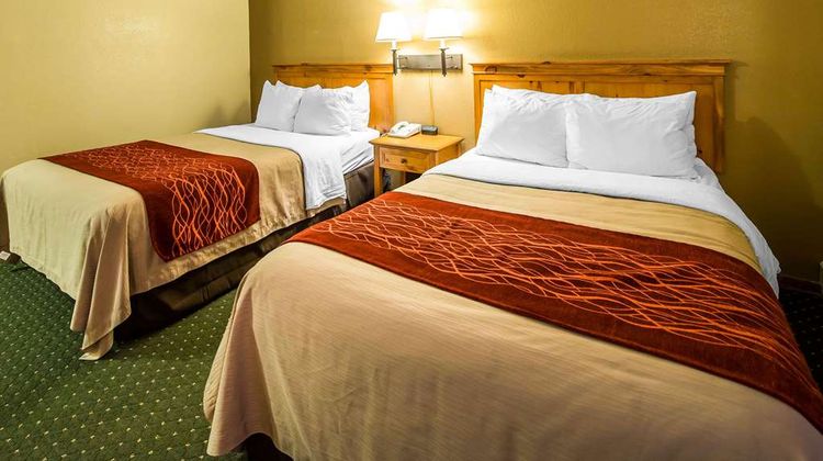 Quality Inn Room